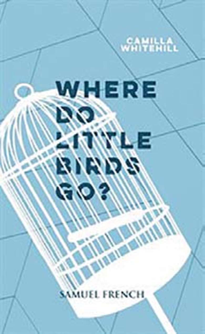  
Where Do Little Birds Go
