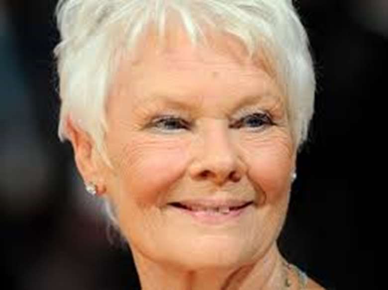 Auction lots include a prize offered by Dame Judi Dench